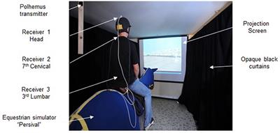 Head Stability and Head-Trunk Coordination in Horseback Riders: The Contribution of Visual Information According to Expertise